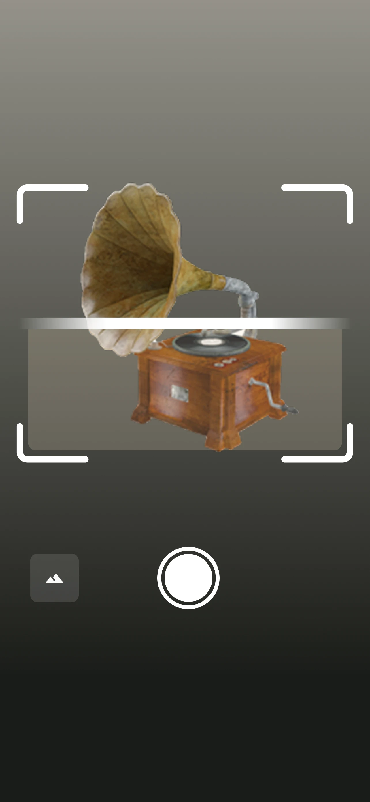 Before: Simple photo